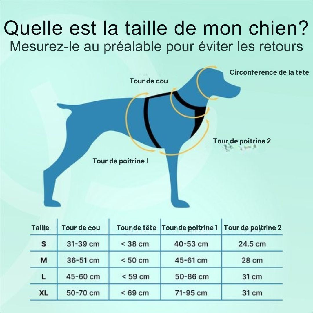 Harnais pour chien Jake et Jacky - Harnais anti-traction - Réfléchissant - Taille L - Noir