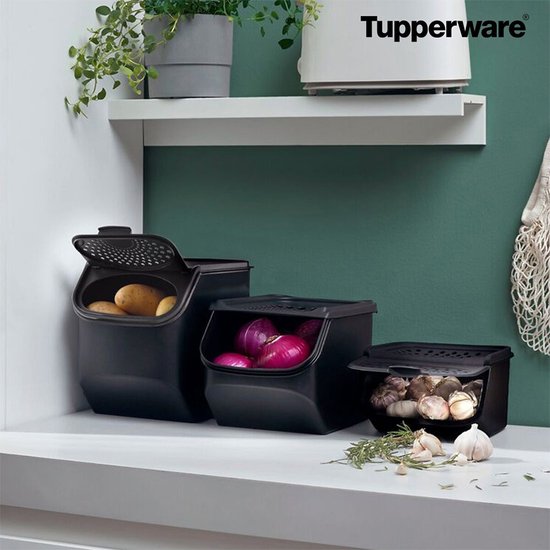 Tupperware GarlicSmart 2,3 L - Récipient à ail - Sans BPA - Récipient de conservation pour l'ail - Empilable - Récipient Keep-fresh - L'ail reste frais plus longtemps
