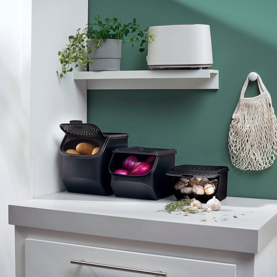 Tupperware GarlicSmart 2,3 L - Récipient à ail - Sans BPA - Récipient de conservation pour l'ail - Empilable - Récipient Keep-fresh - L'ail reste frais plus longtemps