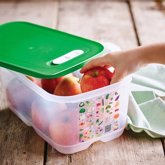 Tupperware Fridge Smart 4,4 l - Boîtes de conservation - Sans BPA - Bocal de conservation - Boîte à repas - Boîtes en plastique - Récipients alimentaires - Les aliments restent frais deux fois plus longtemps