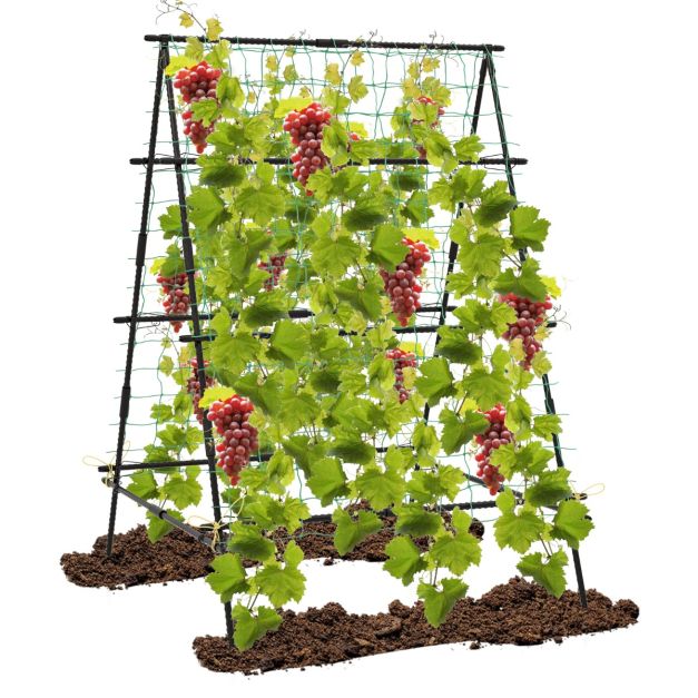 Coast Climbing Rack - A-Frame - Metal - Garden Net - Plant Clips - 130x105x151 cm - Black
