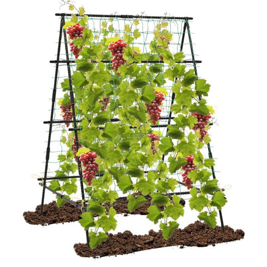 Coast Climbing Rack - A-Frame - Metal - Garden Net - Plant Clips - 130x105x151 cm - Black
