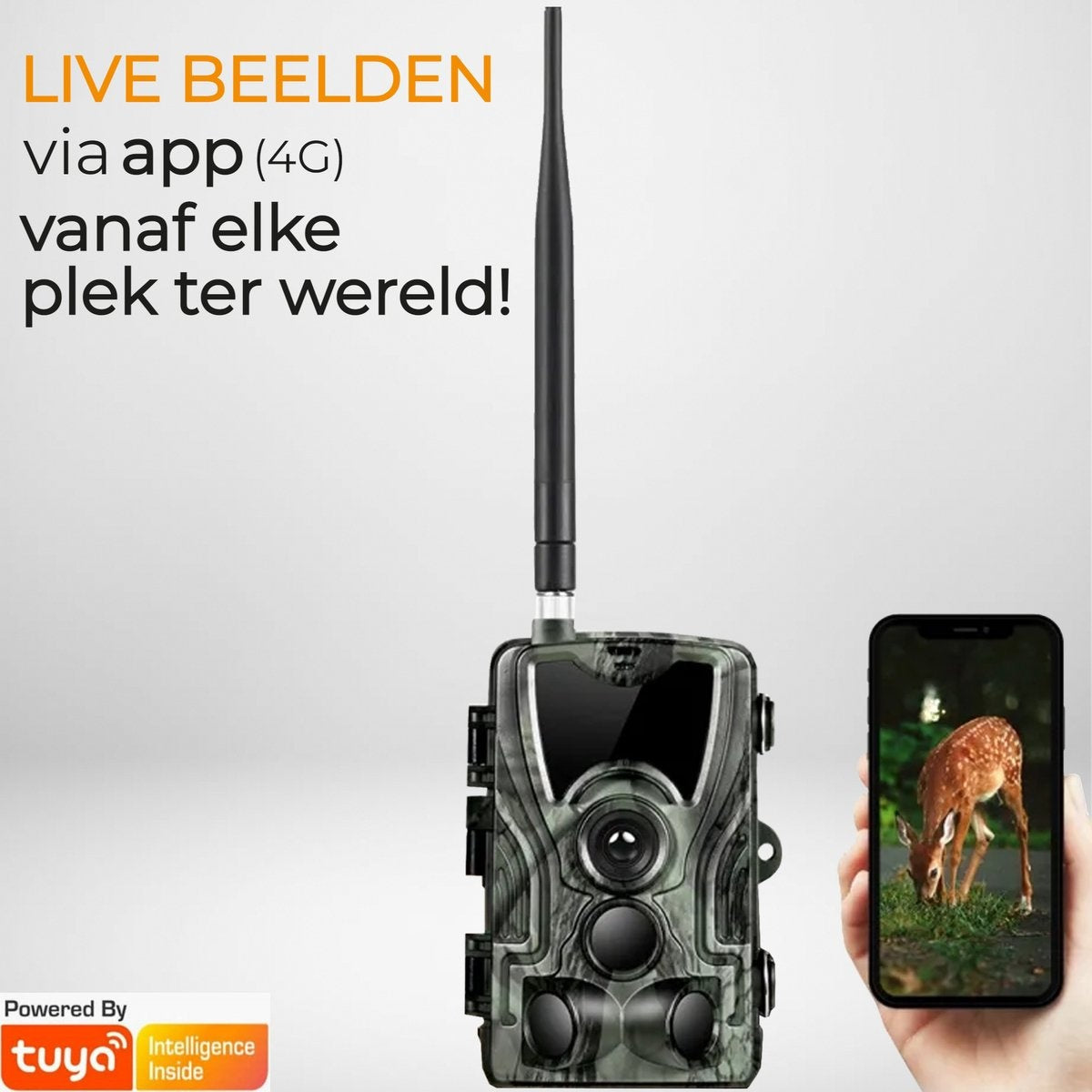 Camera Denver, Pour animaux sauvages, avec vision nocturne, Images en direct via 4G (APP), Capteur CMOS, 30MP, Étanche, Gris