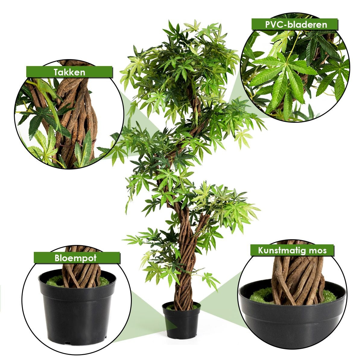 Coast Art Bonsai - PVC - 160 cm - Pour l'intérieur et l'extérieur