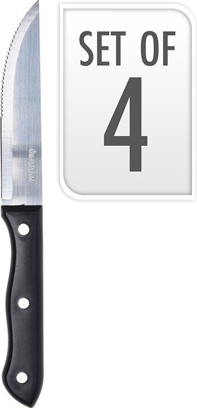 4x BBQ steakmessen set RVS zilver 33 cm - Messenset