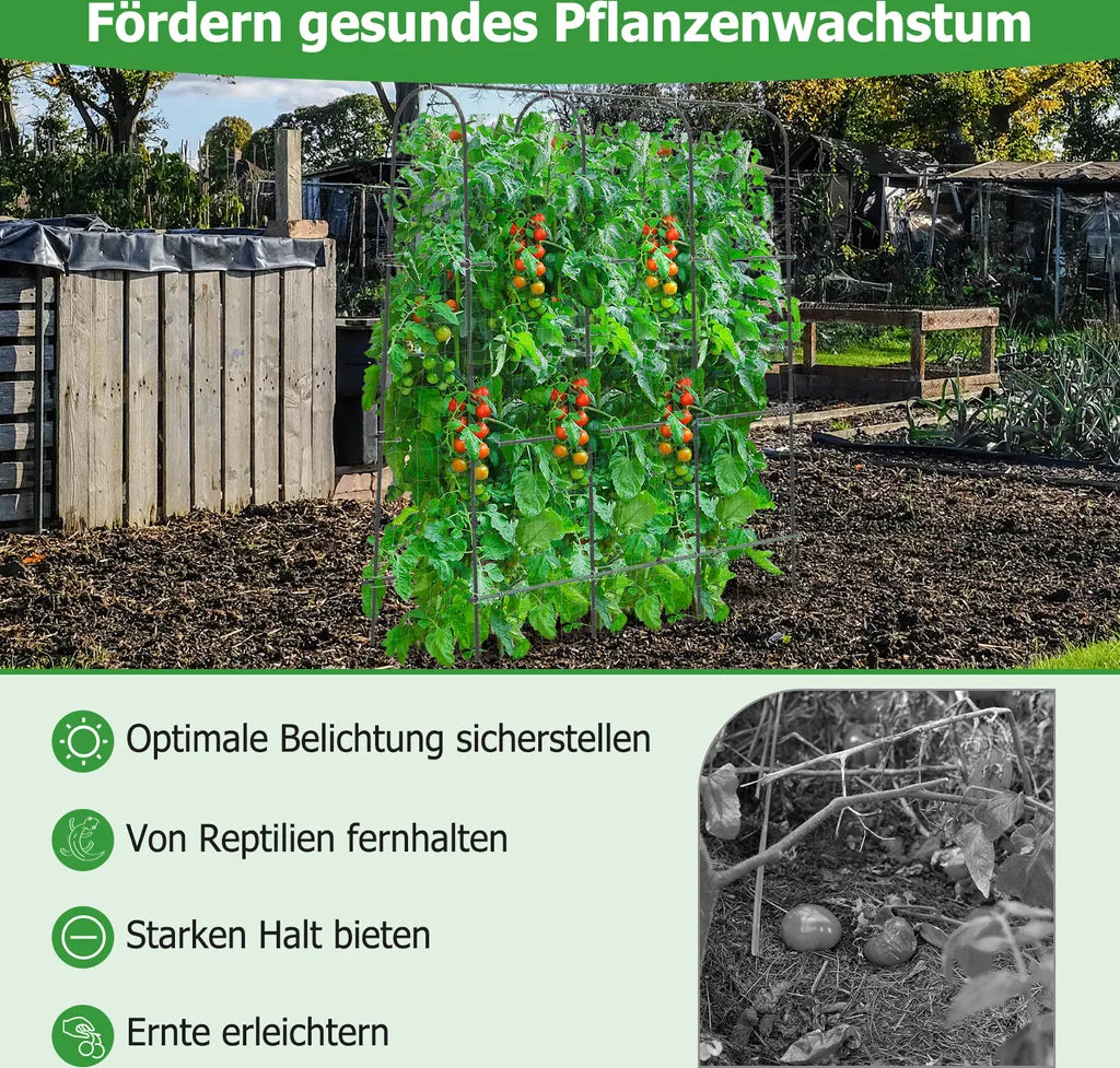 Coast Cucumber Rack Black - Support à plantes réglable avec filet - 179 x 32-65 x 180 cm