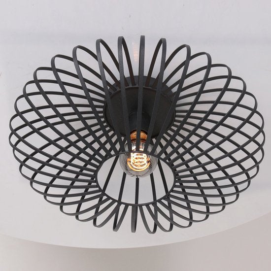 Plafonnier Steinhauer Dunbar AN à 1 lumière, 40 cm