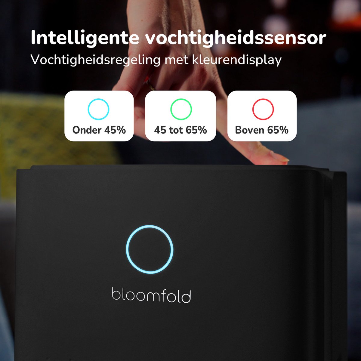 Déshumidificateur Bloomfold - 12L par jour - Salon, chambre, sous-sol et salle de bain - Déshumidificateur - Noir