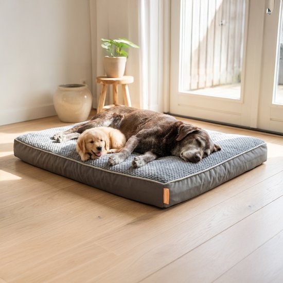 Coussin orthopédique pour chien Happysnoots® - Panier pour chien XXL 100 x 70 x 12 cm - Lit pour chien lavable pour grands chiens - Gris avec fermeture éclair