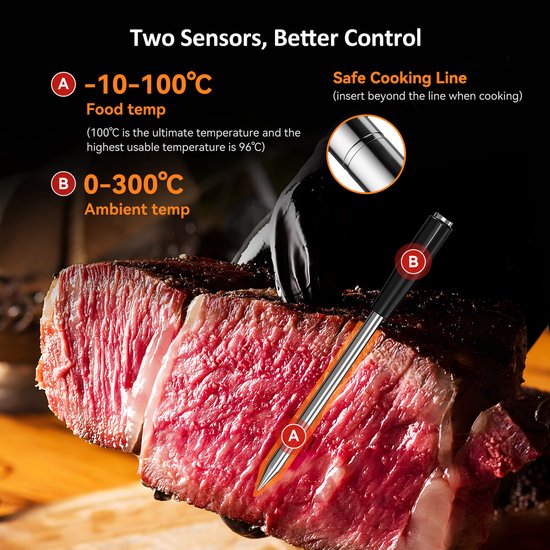 Thermomètre à viande sans fil Bluetooth INKBIRD, nouveau modèle 2025, sonde ultra-fine de 5 mm