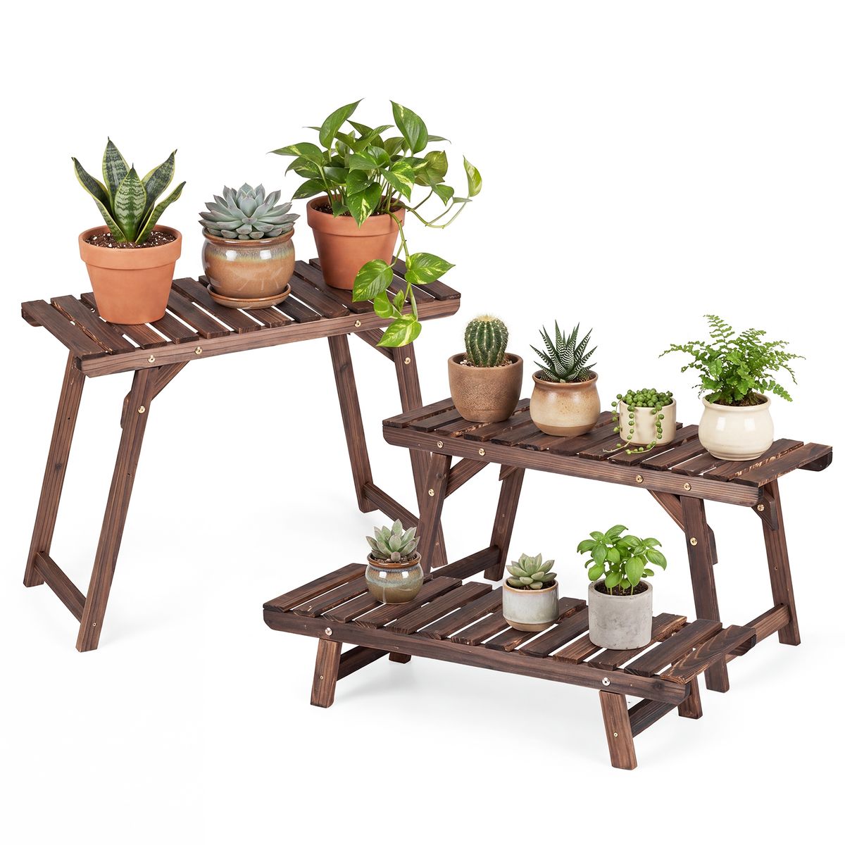 Ensemble de 3 supports pour plantes Coast - 3 niveaux - bois de pin carbonisé - marron