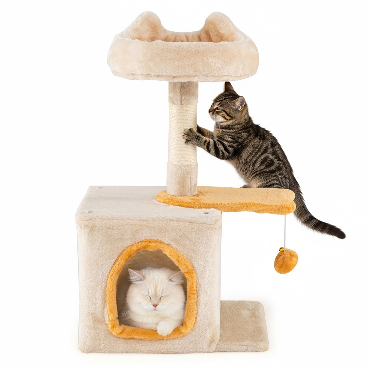 Coast Tour pour chat d'intérieur - Charmant arbre à chat avec siège en peluche - 40 x 30 x 61 cm