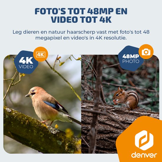 Caméra de surveillance Denver avec vision nocturne et connexion 4G - Diffusion en direct - Vidéo 4K Ultra HD - 48 MP - Alimentation solaire - Application TrailCam Go - WSL8050