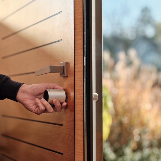 Netatmo Electric Door Lock - Serrure de porte intelligente - 3 clés - clés intelligentes - clé NFC - partage d'accès - Apple Homekit - Silver