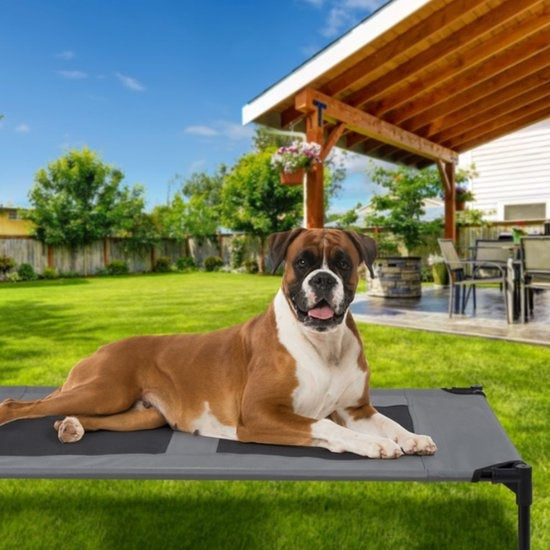 maxxpro Dog Bed on Legs - Good Ventilation - Incl. Carry Bag - Max. 55 KG - Grand