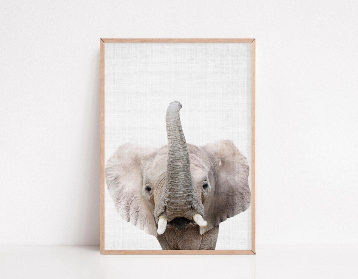 Affiches d'annimaux pour la chambre d'enfant - Generic - 6 Affiches - 21x30 cm - Papier robuste - Safari