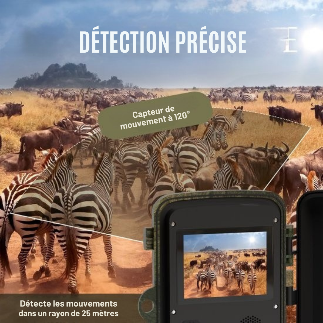 Wildlife Camera - Strex - Caméra de faune - Vision nocturne - 16MP 1080P Full HD - Waterproof - Caméra de chasse - Caméra pour animaux sauvages