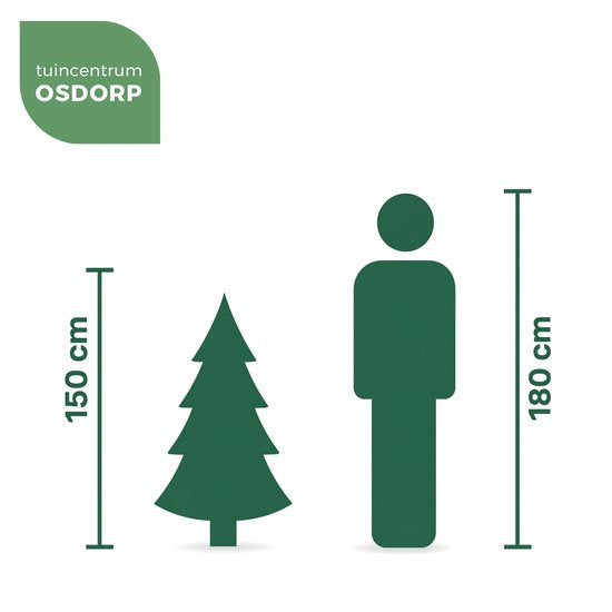 Black Box Trees Frasier - Sapin artificiel - Sapin de Noël à la forme naturelle et capricieuse - Aiguilles en PE et structure articulée - Décoration de Noël d'intérieur - H 155 x P 109 cm - Vert