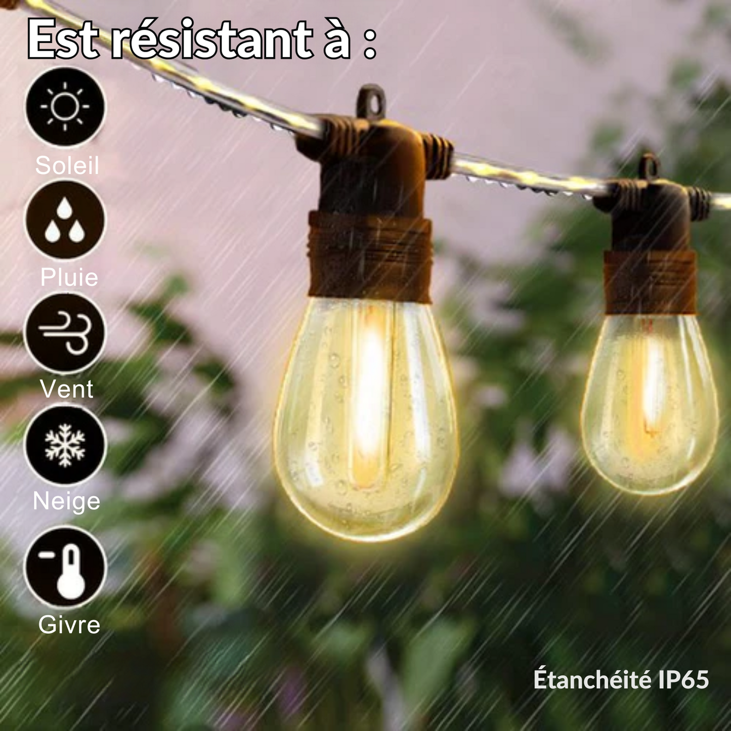 Guirlande lumineuse extérieur - EverNeeds - avec câble lumineux - 15 LED - 15 mètres - IP65