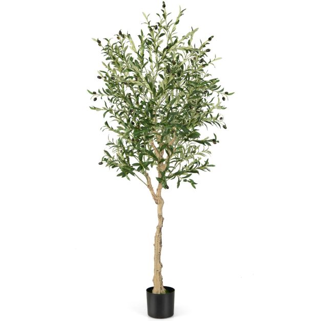 Coast Olivier Artificiel - 182 cm - 1296 Feuilles - Pot en ciment