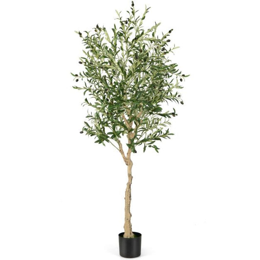 Coast Olivier Artificiel - 182 cm - 1296 Feuilles - Pot en ciment
