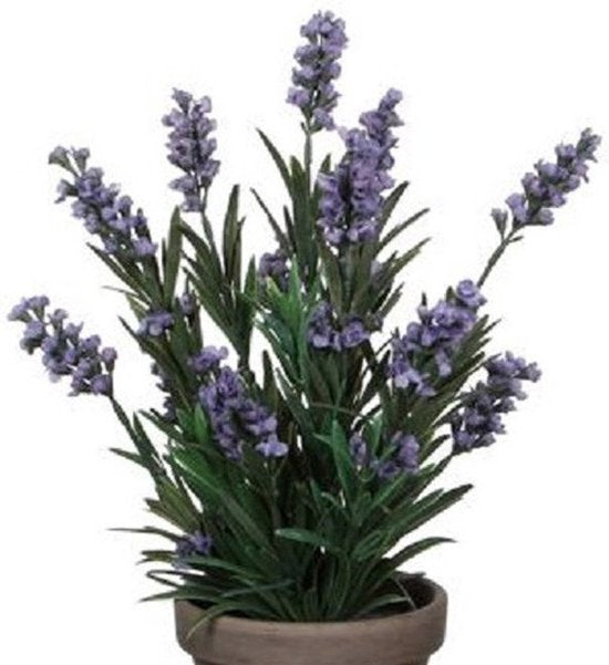Mica Decorations Plante artificielle Lavendula/lavande - vert/violet - D22 x H33 cm - pot gris - plante d'intérieur - fleurs artificielles