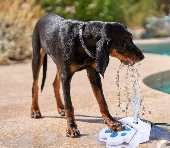 Fontaine à eau maxxpro avec pédale - Raccordement pour tuyau d'arrosage inclus - Jouets d'extérieur