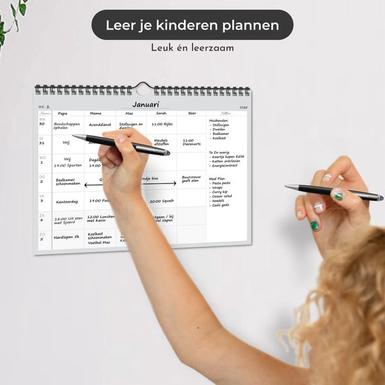 Systemyze Family Planner Basic 2025 - Agenda - Semainier - Agenda familial - Non daté - Gris