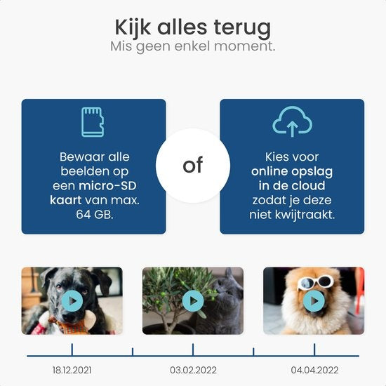 Gologi pet camera - Caméra pour chien - Caméra pour animaux - Caméra de sécurité - Caméra de sécurité - Pour tous les animaux - Avec wifi