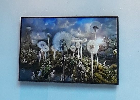 Vogels PFW 4700 Display 55-80 support mural verrouillable plat - Noir