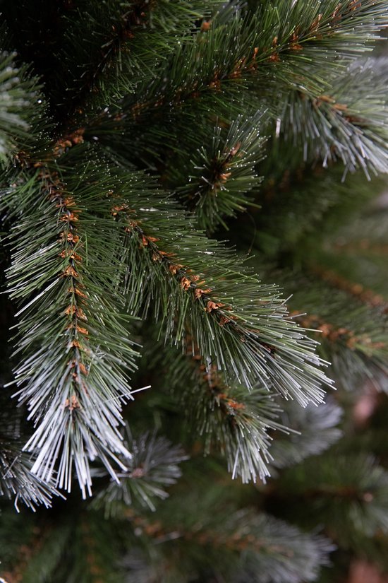 Arbre artificiel Triumph Tree Pittsburgh vert - Arbre de Noël au volume généreux et 812 branches - Décoration de Noël d'intérieur - De forme ronde avec système d'emboîtement - H 215 x Ø 117 cm