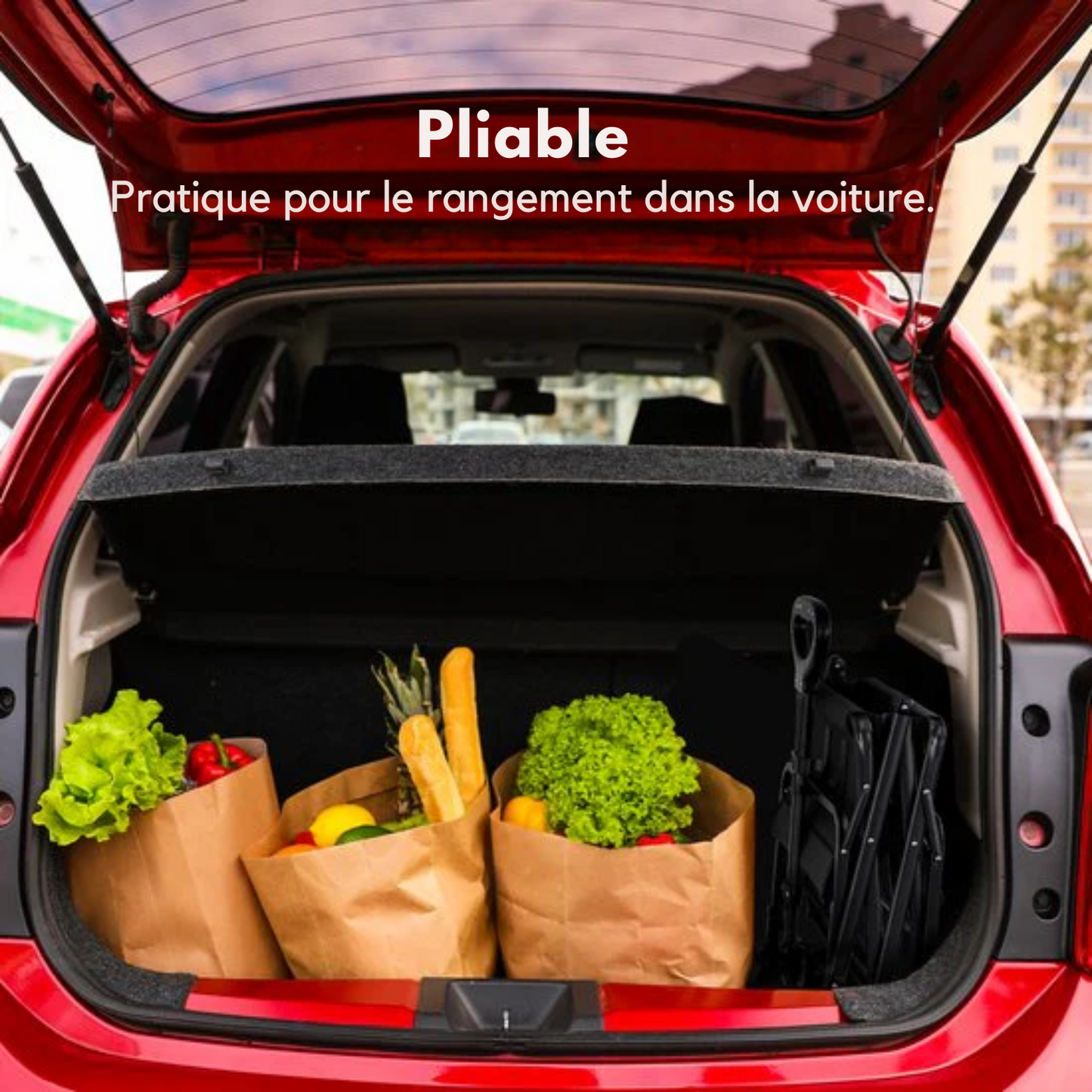 Chariot à roulettes LifeGoods - Compact - Polyester - 80 L/ 80 kg – Noir