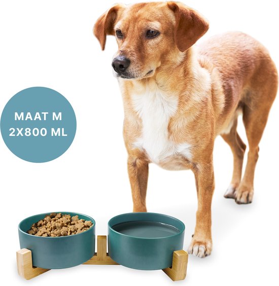 Gamelle pour chien - Bol à boire - Avec support en bambou - 2x 800 ml - Taille M - Vert Mat