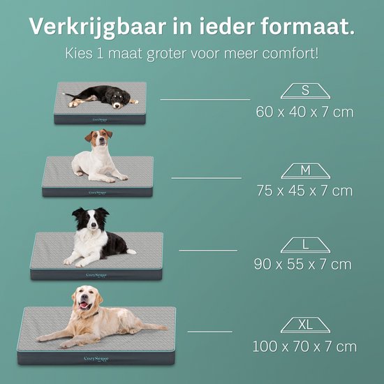 CozySense® - Coussin orthopédique pour chien 60 X 40 cm - Taille S - Imperméable - Convient comme coussin de banc et lit pour chien