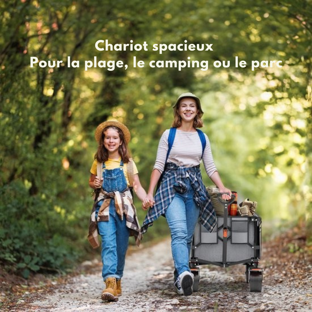 LifeGoods Wagon - XL - Pliable - 200L - Capacité de charge 100KG - Gris
