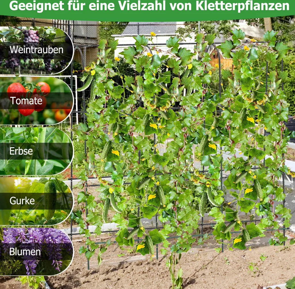 Coast Cucumber Rack Black - Support à plantes réglable avec filet - 179 x 32-65 x 180 cm