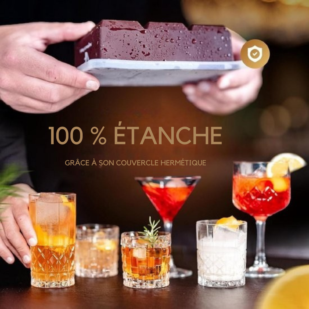 Moule à glaçons Neighbour's Friend - Pack de 2 moules XXL en silicone - Lavable au lave-vaisselle - Cubes 5 x 5 cm - Marron