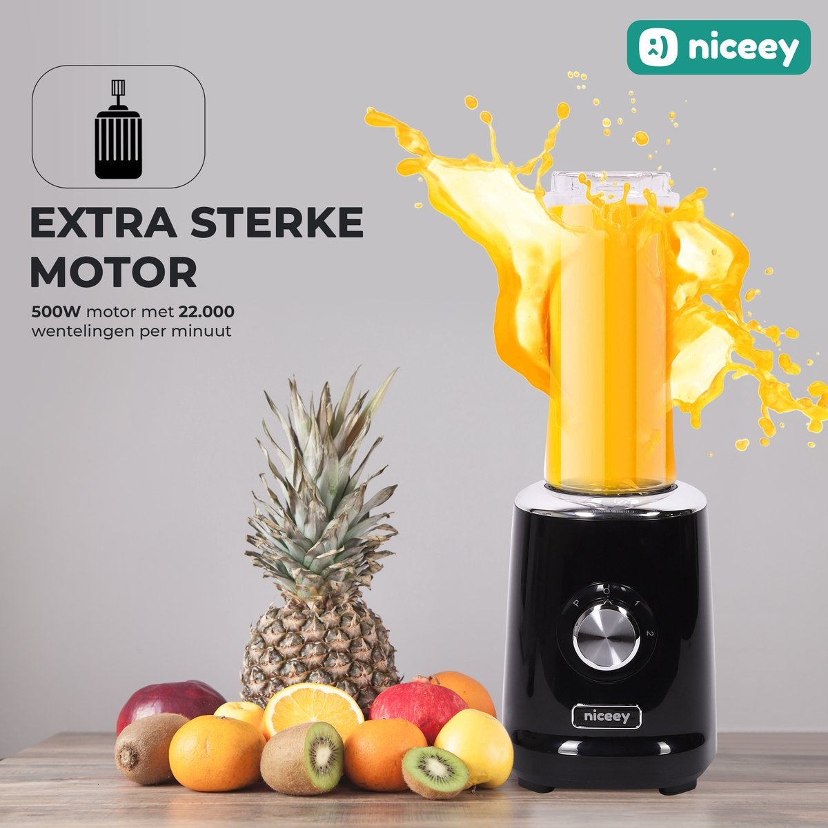Niceey Mini Blender - Smoothie Maker - 500W - Noir
