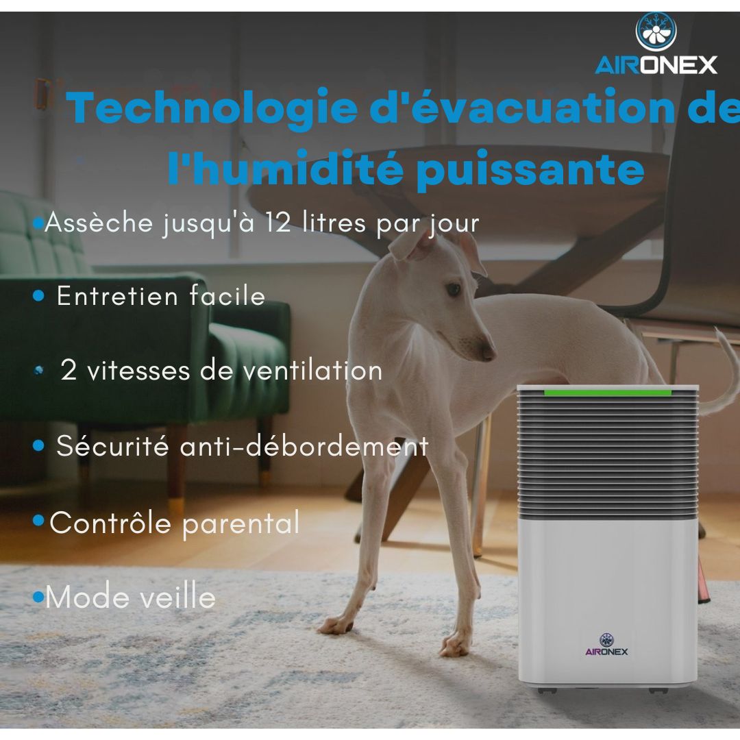 Déshumidificateur - Aironex - Jusqu'à 12 L par jour - Blanc