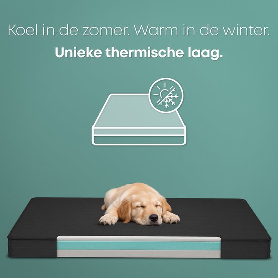 CozySense® - Coussin orthopédique pour chien 100 X 70 cm - Taille XL - Imperméable - Convient comme coussin de banc et lit pour chien - Noir