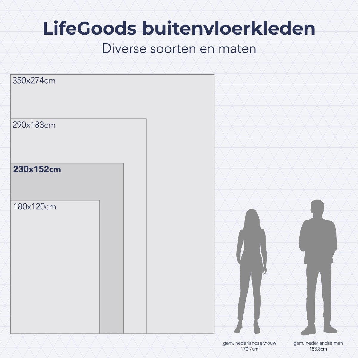 LifeGoods Tapis d'extérieur - 152x230CM - Tapis de jardin - Tapis d'extérieur - Réversible - Sac de transport inclus - Avec motif - Gris/Blanc