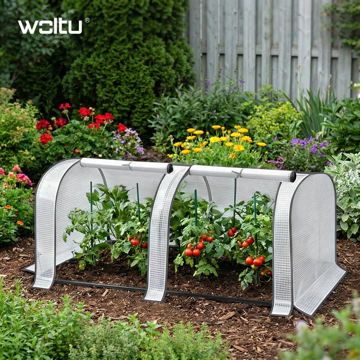 Serre à tomates WOLTU - mini-serre pour jardin et balcon - étanche avec film maillé en PE résistant aux UV - 130 x 60 x 50 cm - blanc