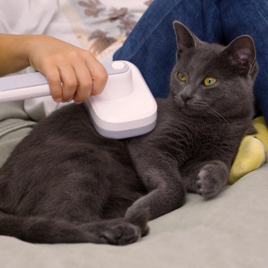 Brosse ionique PiddiPet IonBrush pour poils d'animaux – Autonettoyante et alimentée par piles – Soin du pelage pour chiens et chats – Réduit l'électricité statique, rend le pelage brillant – Lot de 2