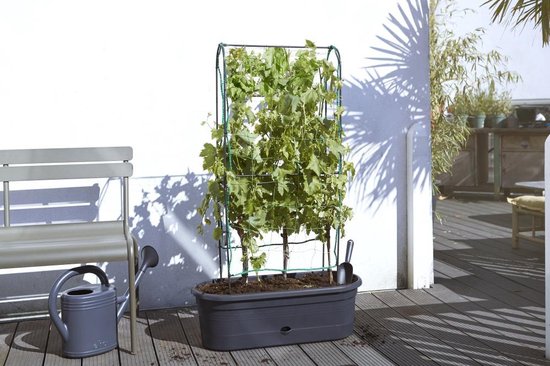 Elho Green Basics Veggie Wall 80 - Bac de culture - Jardinage vertical - Plastique 100 % recyclé - Ø 77,5 x H 26,0 cm - Living black