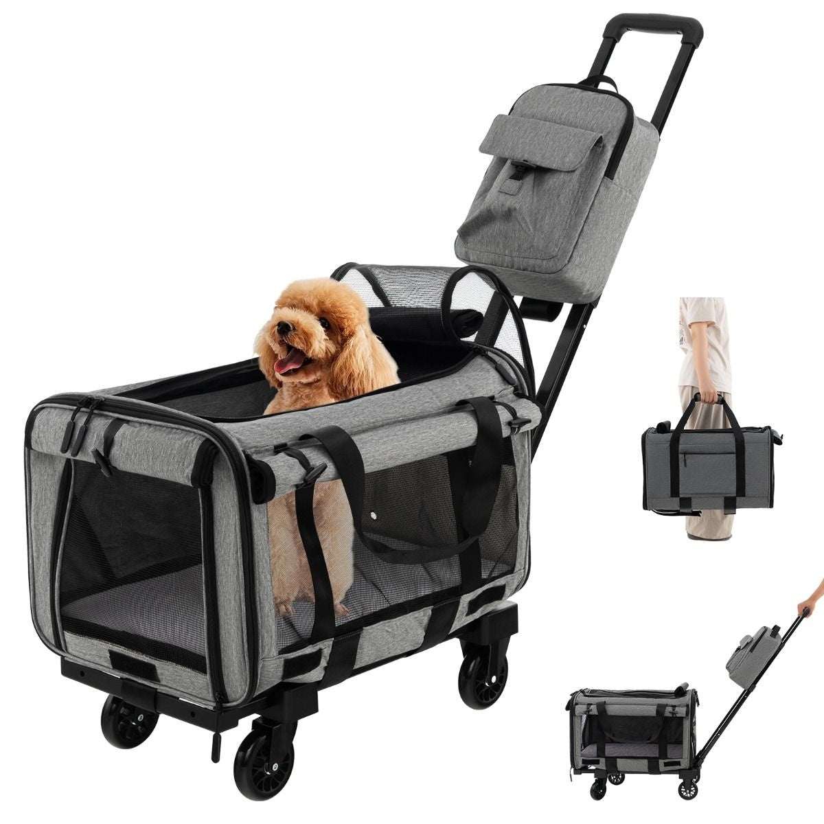 Boîte de transport Coast - chat - chien - portable - avec roues - pliable - poignée télescopique - animaux de petite et moyenne taille - gris
