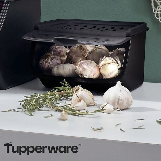 Tupperware GarlicSmart 2,3 L - Récipient à ail - Sans BPA - Récipient de conservation pour l'ail - Empilable - Récipient Keep-fresh - L'ail reste frais plus longtemps
