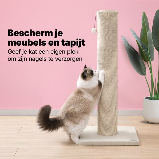 Jake and Jacky : Arbre à chat pour grands chats - Naturel/Crème - Avec petite balle - 56 x 56 x 120 cm - Ø de l'arbre à chat en sisal : 20 cm