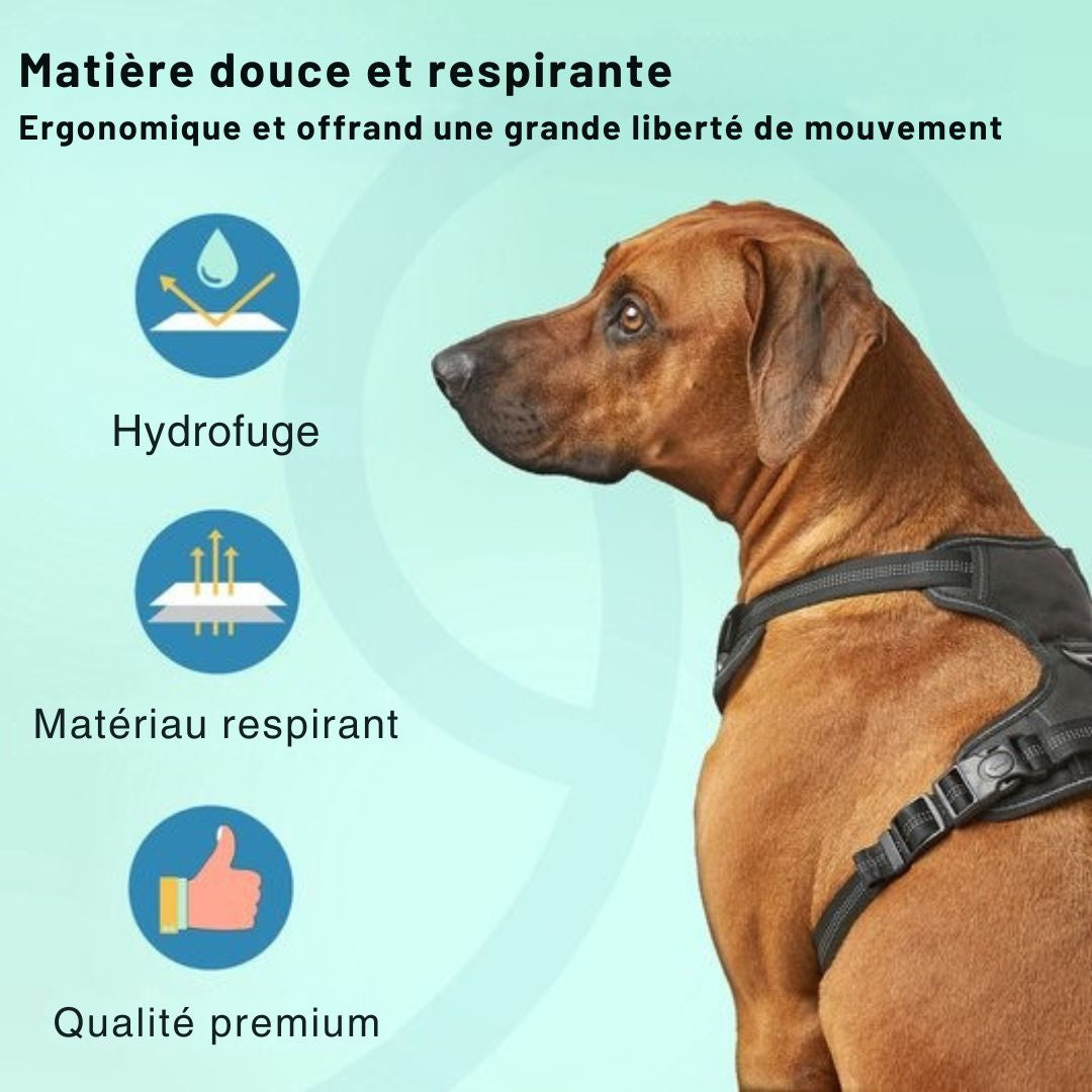 Harnais pour chien Jake et Jacky - Harnais anti-traction - Réfléchissant - Taille L - Noir