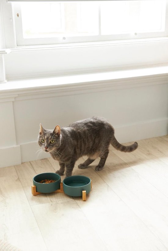 Gamelle pour chat et chien en céramique - Gamelles doubles avec support - Abreuvoir - 2x 400 mL - Vert mat