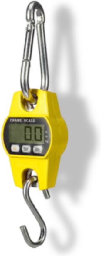 Balance Perel Crane, numérique, 300 g à 300 kg, arrêt automatique, fonction de maintien des données, fonction de tare, écran LCD